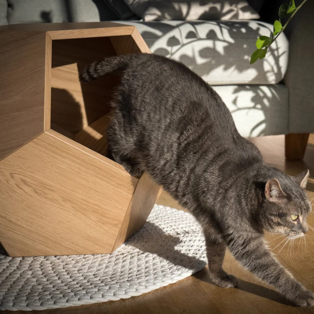 Niche pour chat décoratif